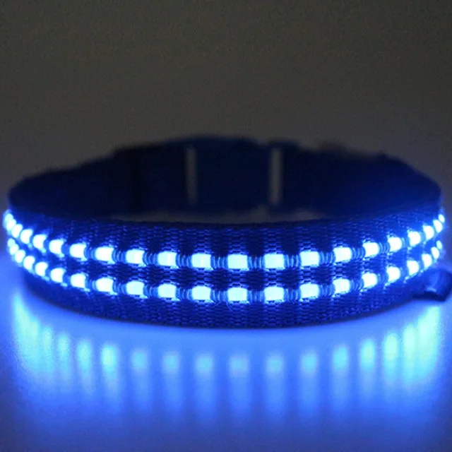 Reedog luminous USB svíticí obojek pro malé, střední a velké psy - Modrá - L | P54166