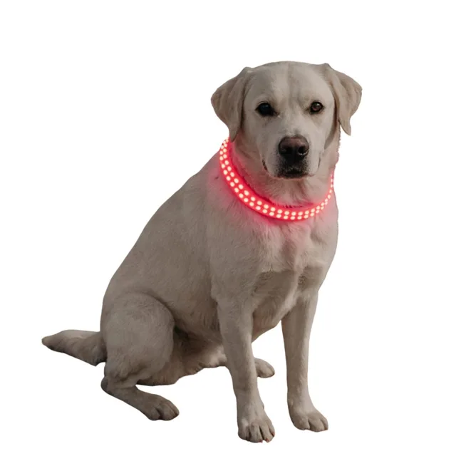 Reedog luminous USB svíticí obojek pro malé, střední a velké psy | P54158