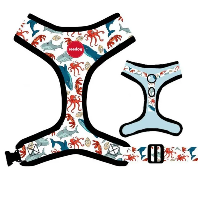 Reedog SEA - M | P51966
