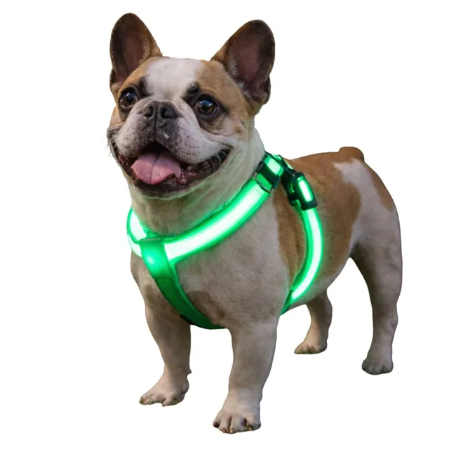 Reedog svíticí kšíry pro psy a kočky - zelená - XS | P2567