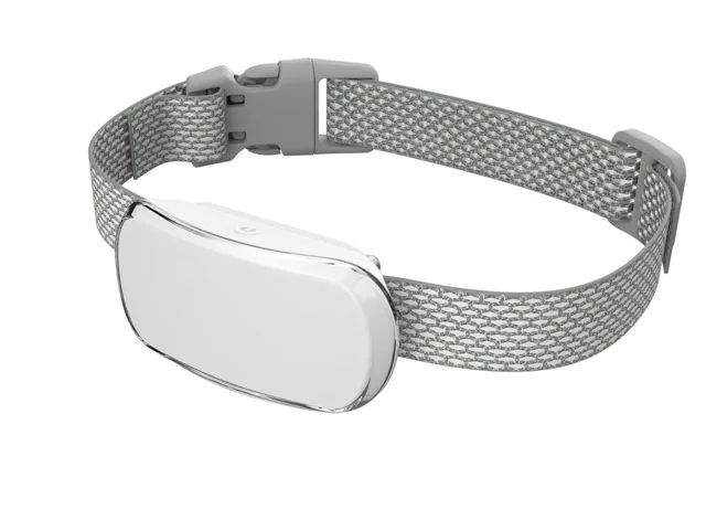 Reedog TC-005 - Bílá | P55605