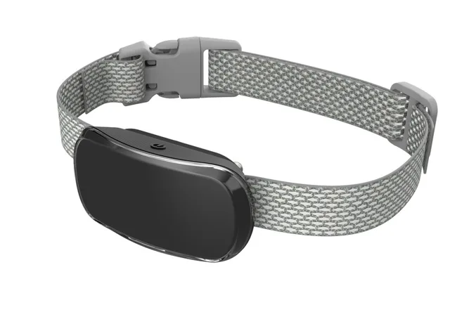 Reedog TC-005 - černá | P55606