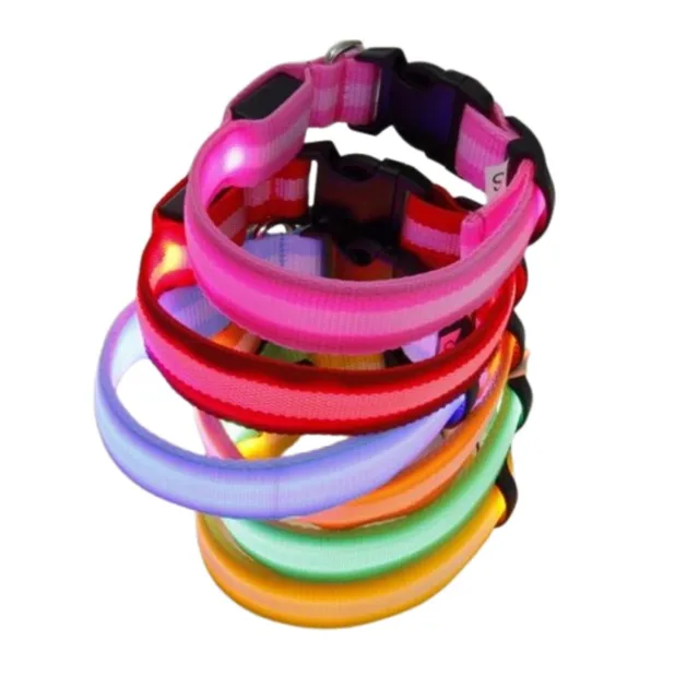 Reedog USB svíticí obojek pro psy a kočky NEW - Modrá - 40 - 48 cm | P45882