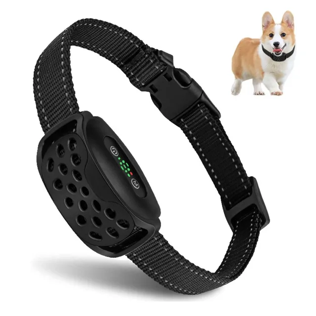 Reedog V2 | P53795