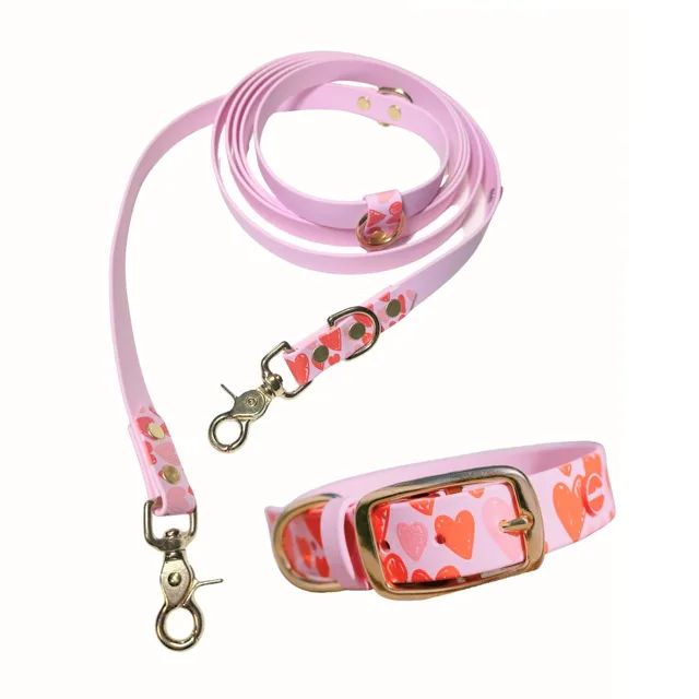 Reedog venčící set srdce Biothane OBOJEK + VODÍTKO | P59235