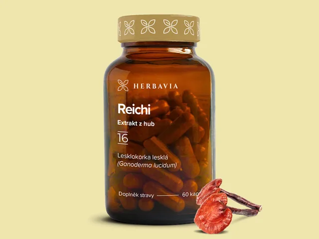 Reishi  extrakt z hub - 60 kapslí