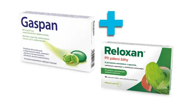 Reloxan Mint žvýkací 16 tablet + GASPAN enterosolventní tobolky 14 ks