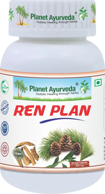 Ren Plan - 500 mg, 60 kapslí