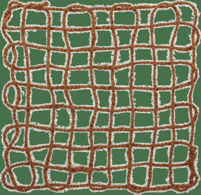 Repti Planet Dekorace Coco Síť 50x50cm