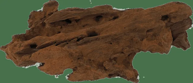 Repti Planet kořen DriftWood Bulk XS 19-23cm