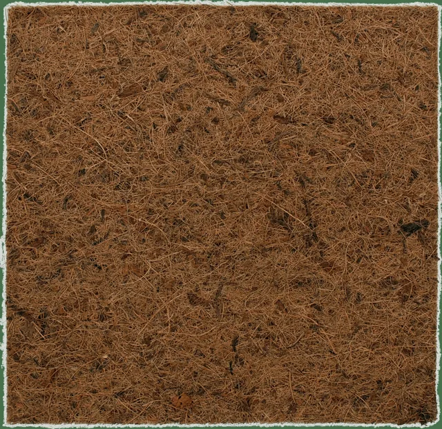 Repti Planet Pozadí Coco Pad 30x30cm