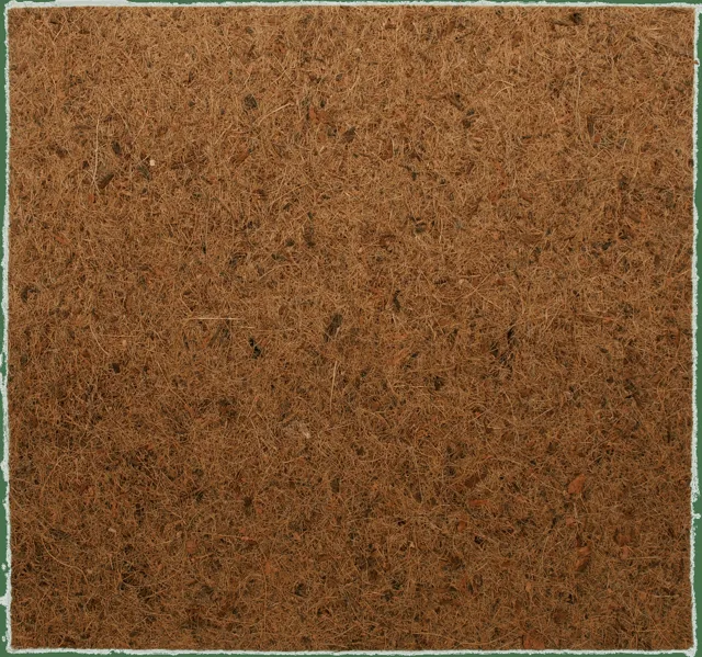 Repti Planet Pozadí Coco Pad 50x50cm