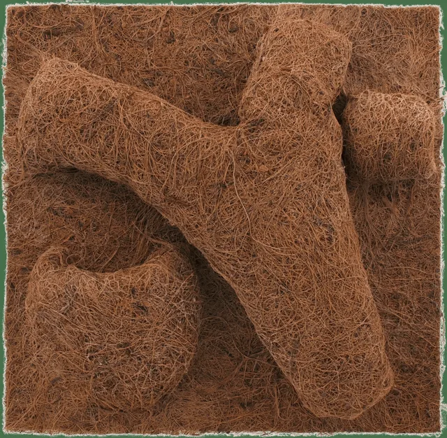 Repti Planet Pozadí Coco Planter 30x30cm