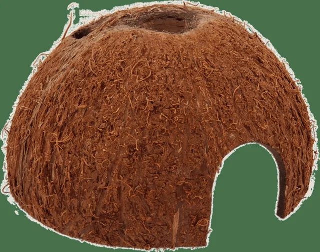 Repti Planet Úkryt Coco Shell L