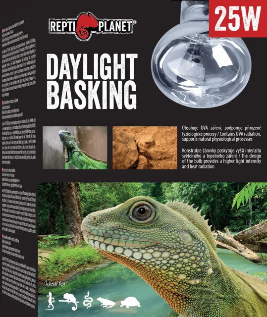 Repti Planet žárovka Daylight Basking Spot 25W