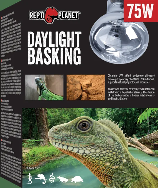 Repti Planet žárovka Daylight Basking Spot 75W