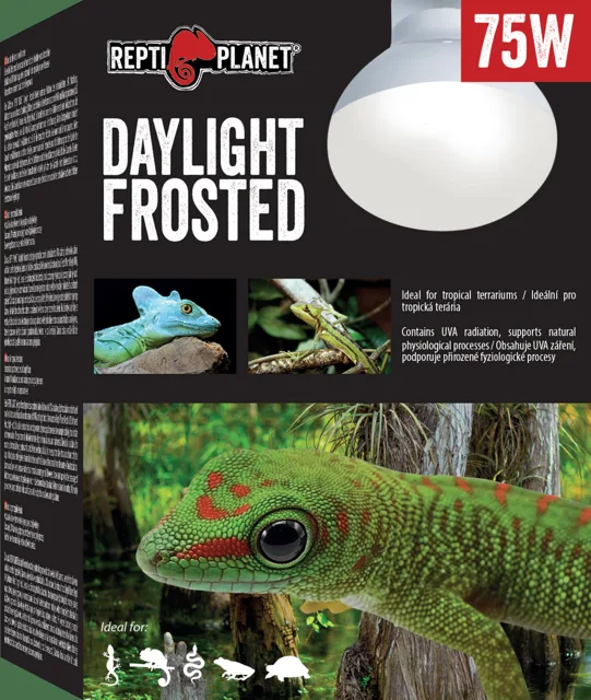 Repti Planet žárovka Daylight Frosted 75W