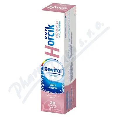 Revital Hořčík + B6 tbl.eff.20 grep