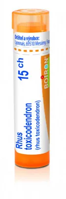 Rhus Toxicodendron 15CH gra.4g