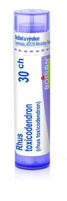 Rhus Toxicodendron 30CH gra.4g