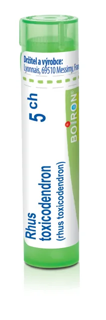 Rhus Toxicodendron por.gra.4 g 5CH