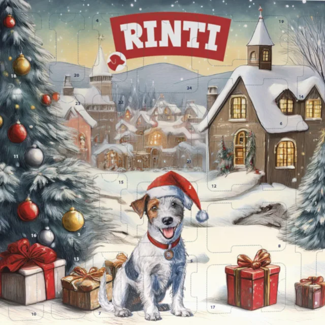 RINTI Chicko adventní kalendář  - 1 kus