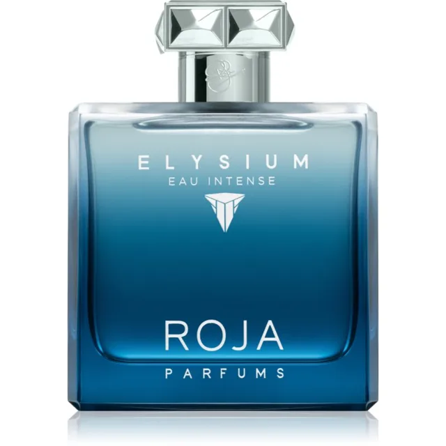 Roja Parfums Elysium Eau Intense parfémovaná voda pro muže 100 ml