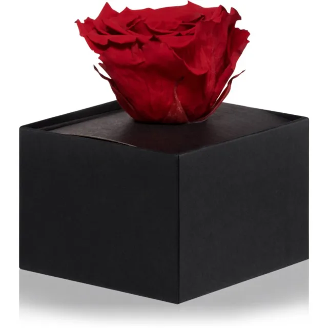 RoseAmor Red stabilizovaná růže v krabičce 1 ks