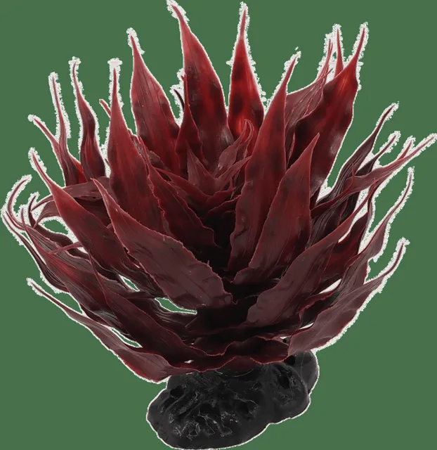 Rostlina Repti Planet sukulent Agave červená 18cm