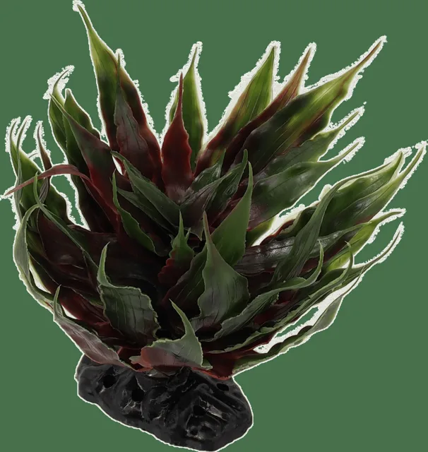 Rostlina Repti Planet sukulent Agave zelená 18cm
