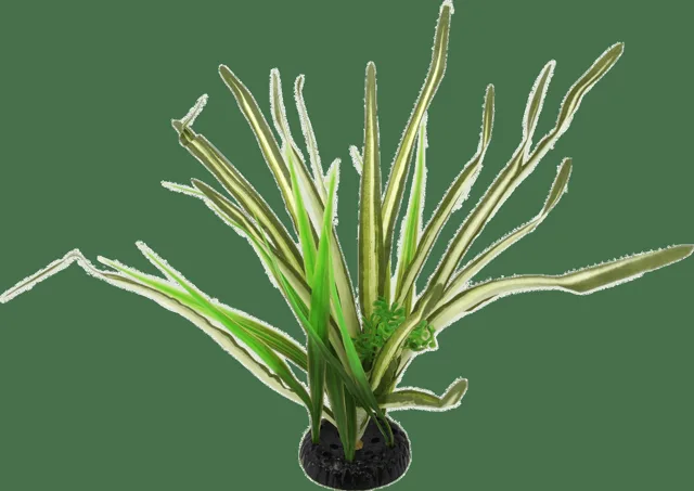Rostlina Repti Planet travina Spartina 30cm