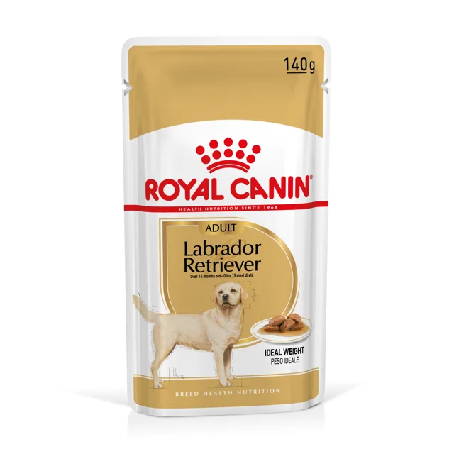 Royal Canin Breed Labrador Retriever Adult v omáčce - 20 x 140 g
