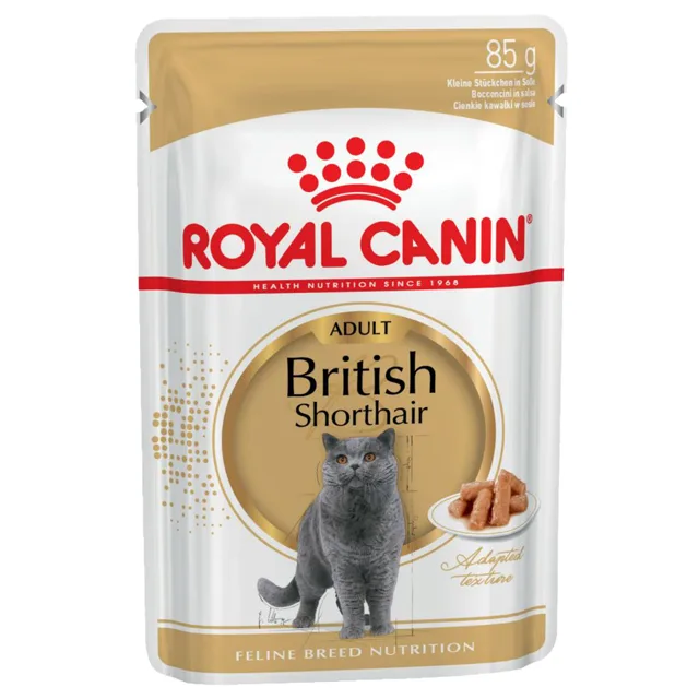 Royal Canin British Shorthair Adult - v omáčce - 24 x 85 g