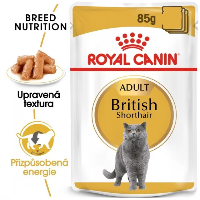 ROYAL CANIN British Shorthair Gravy 12x 85g kapsička pro britské krátkosrsté kočky ve šťávě