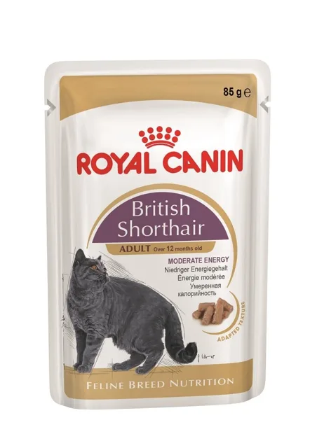 ROYAL CANIN British Shorthair Gravy 48 x 85g kapsička pro britské krátkosrsté kočky ve šťávě