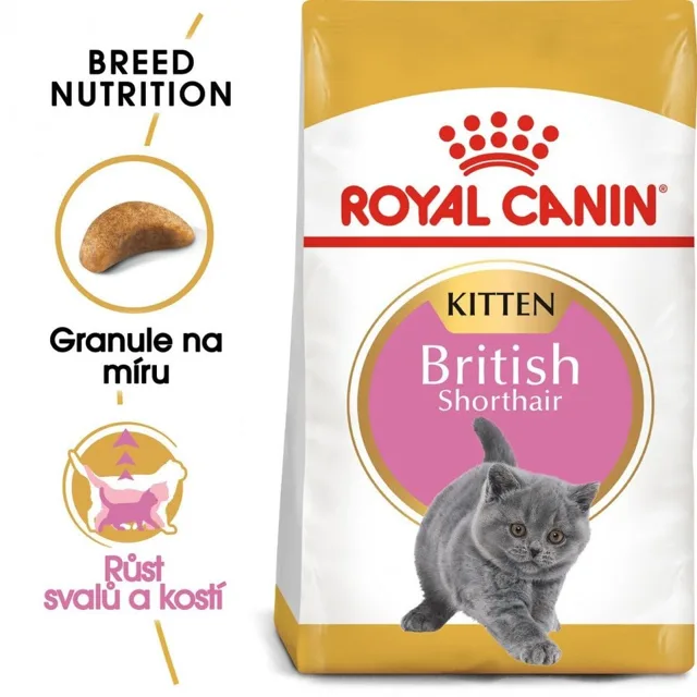 ROYAL CANIN British Shorthair Kitten 10kg granule pro britská krátkosrstá koťata