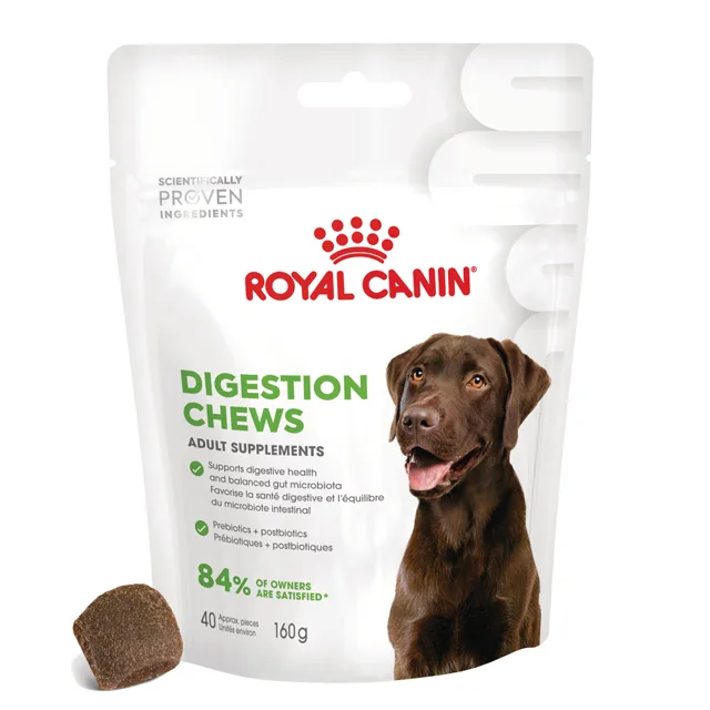 Royal Canin Digestion Adult Supplement žvýkací pamlsky - 160 g (40 ks)