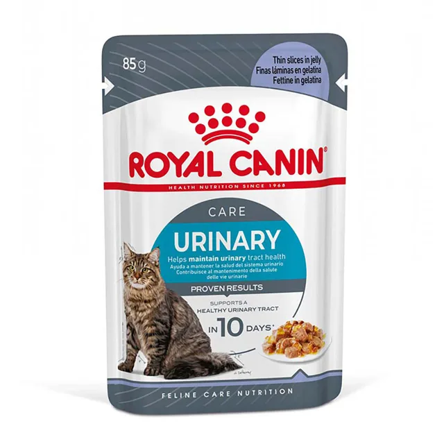 Royal Canin FCN Urinary Care v želé - výhodné balení: 48 × 85 g