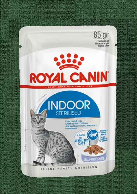 ROYAL CANIN Indoor Sterilised In Jelly Pouch 12x 85g