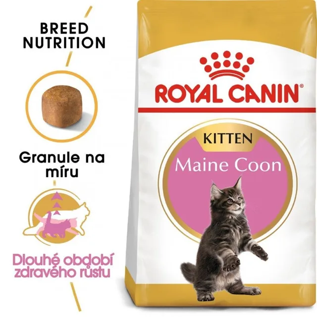 ROYAL CANIN Kitten Maine Coon 2 x 10kg granule pro mainská mývalí koťata