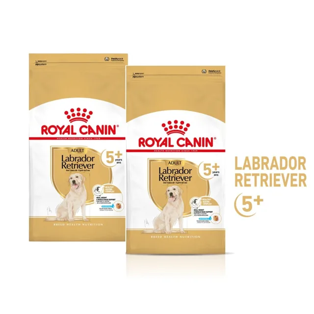 ROYAL CANIN Labrador Retriever Adult 5+ 2x12 kg suché krmivo pro dospělé psy plemene labradorský retrívr starší 5 let