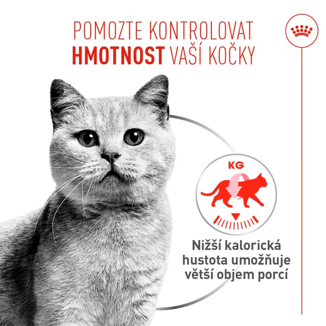 Royal Canin Light Weight Care AirLift Mousse - výhodné balení: 24 x 85 g