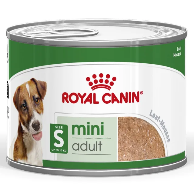 Royal Canin Mini Adult Mousse - Výhodné balení: 24 x 195 g