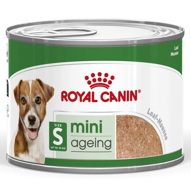 Royal Canin Mini Ageing Mousse - výhodné balení: 48 x 195 g