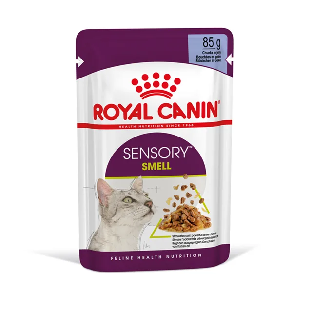 Royal Canin Sensory Smell v želé - výhodné balení: 24 x 85 g