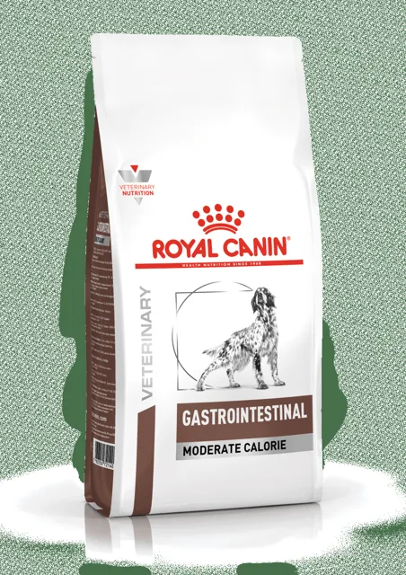 ROYAL CANIN Veterinary Diet Dog Gastrointestinal Moderate Calorie 15 kg