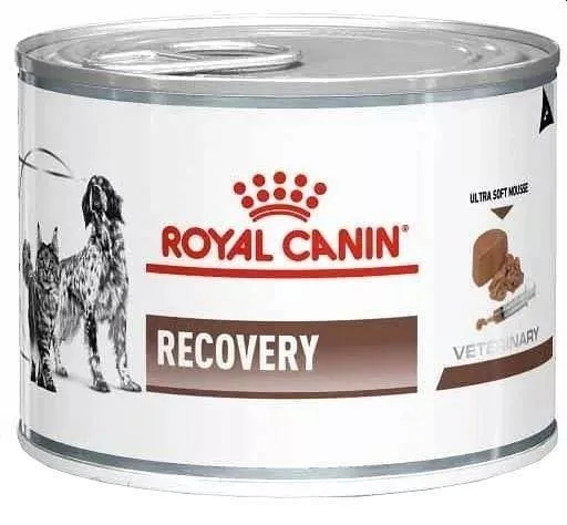 ROYAL CANIN Veterinary Diet Recovery Feline/Canine Can 195 g
