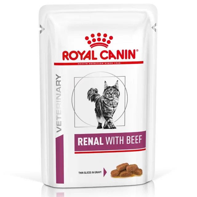 Royal Canin Veterinary Feline Renal - Výhodné balení –  kuřecí 24 x 85 g