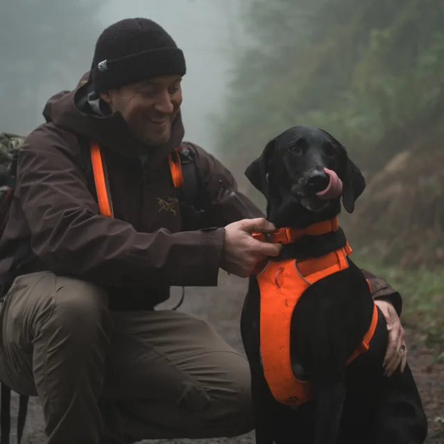 Ruffwear Front Range obojek, oranžový - velikost S: obvod krku 28 - 36 cm, šířka 20 mm