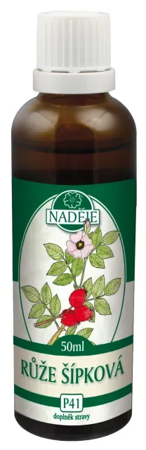 Růže šípková (P41)